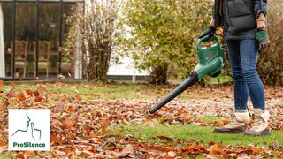 Aspirador/soplador de hojas eléctrico Bosch