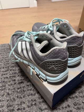 Zapatillas Adidas Grises y Azules