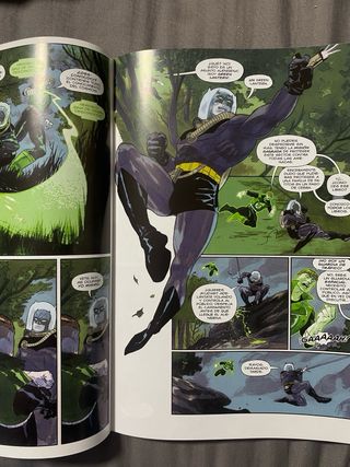 Batman: the Brave and the Bold