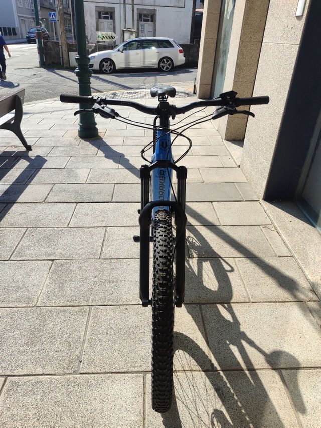 Bici eléctrica doble