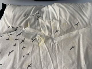 Saco Silla Universal Voksi Explorer