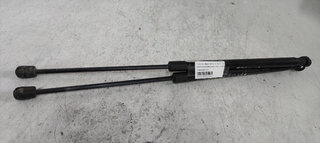 AMORTIGUADORES MALETERO / PORTON FORD KA+ Black /