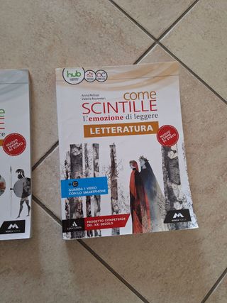 LIBRI DI LETTERATURA PER SUPERIORI