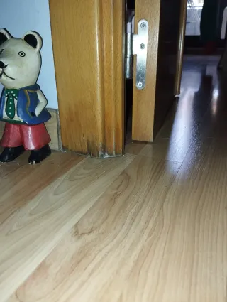 Puertas doble comedor haya vaporizada