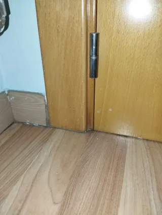 Puertas doble comedor haya vaporizada