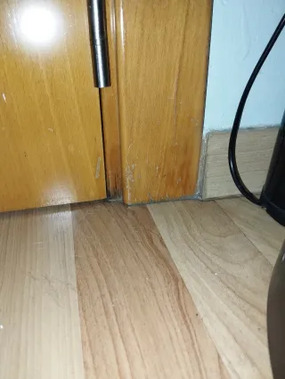 Puertas doble comedor haya vaporizada