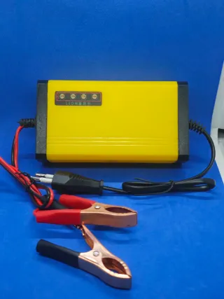 Cargador Batería Coche 12V 2A-3A