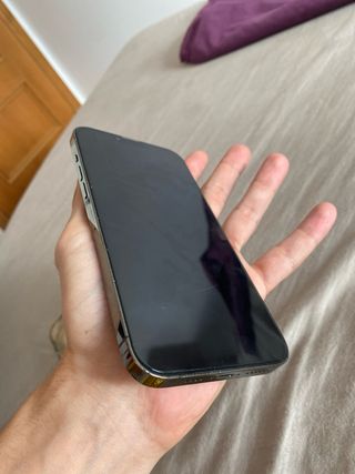 iPhone 13 Pro Max Gris
