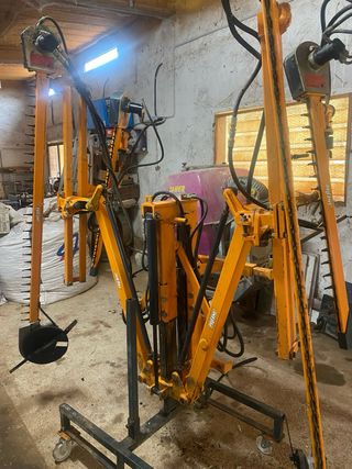 Despuntadora Pellenc en perfecto estado