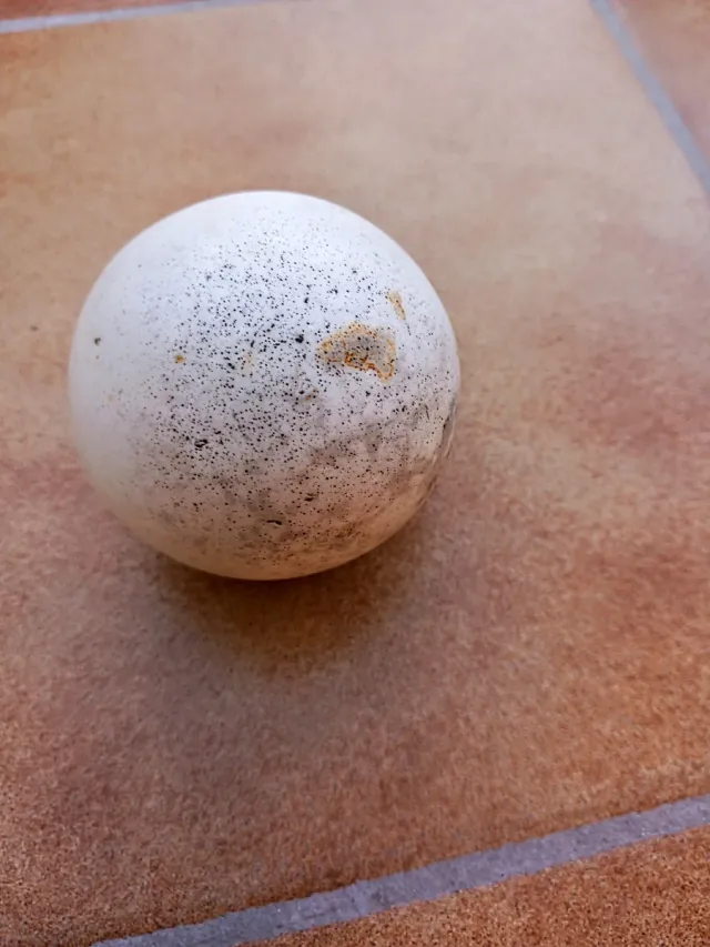 Meteorito auténtico