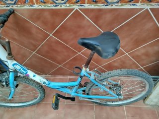 Bicicleta infantil azul
