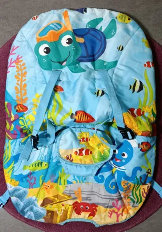 Hamaca Baby Einstein 6-40 lbs