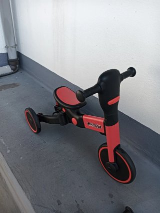 Triciclo Evolutivo Infantil