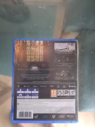 Hogwarts Legacy PS4 (PlayStation 4)