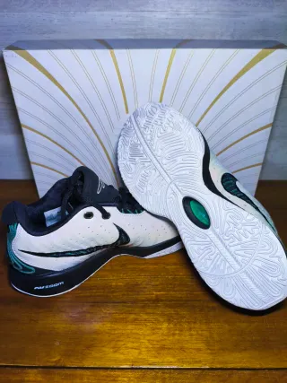 Zapatillas Nike LeBron XXI