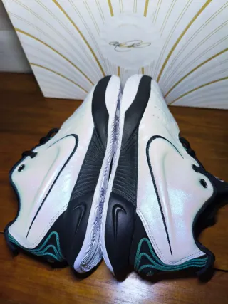 Zapatillas Nike LeBron XXI