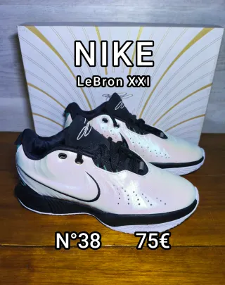 Zapatillas Nike LeBron XXI