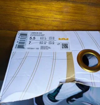 Zapatillas Nike LeBron XXI