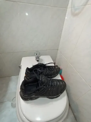 Nike TN Negras Talla 41