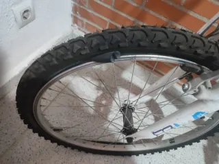 Bicicleta Montaña 24 Teens