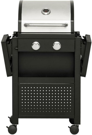 Barbecue a Gas Professionale Acciaio Inox 2 Fuochi