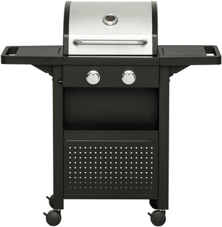 Barbecue a Gas Professionale Acciaio Inox 2 Fuochi