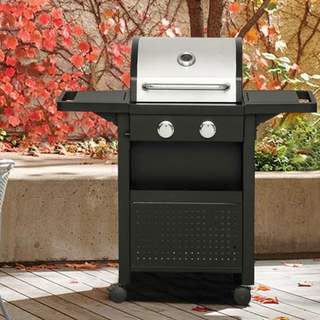 Barbecue a Gas Professionale Acciaio Inox 2 Fuochi