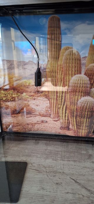 Termómetro digital y humedad para Reptiles