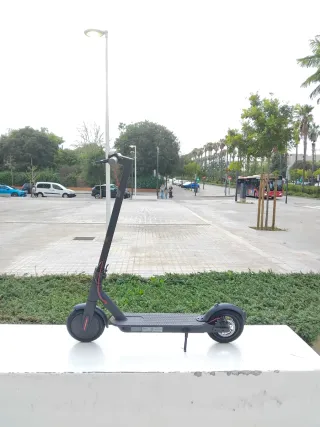 Patinete Eléctrico Xiami 365