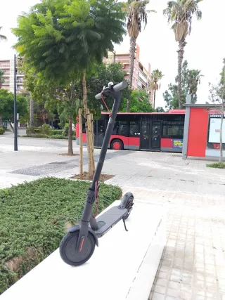 Patinete Eléctrico Xiami 365