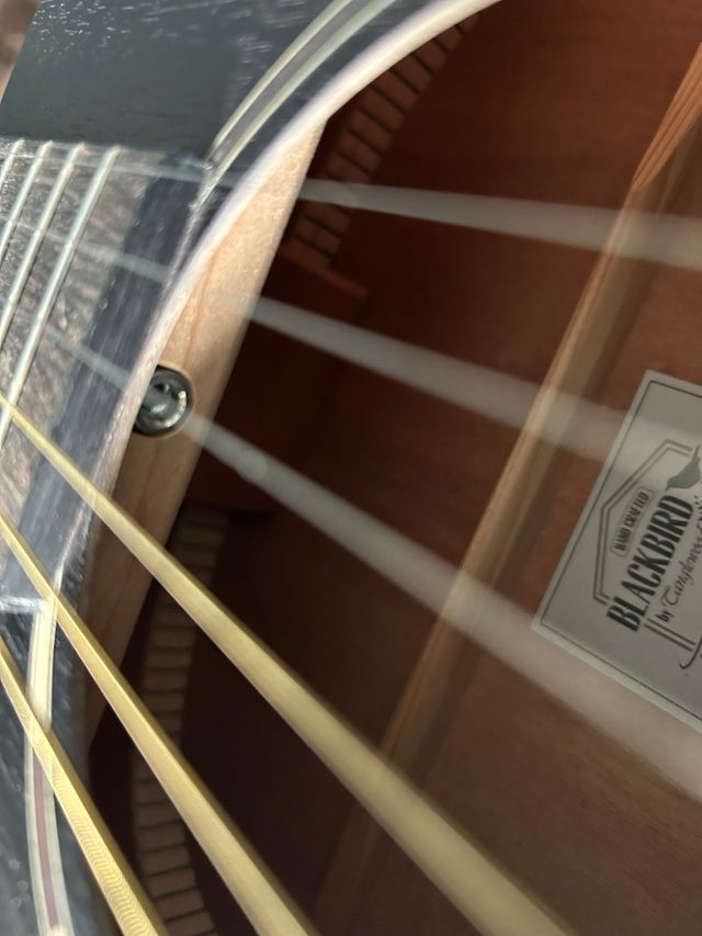 Nueva!!! Guitarra Tanglewood Blackbird TWBB 0