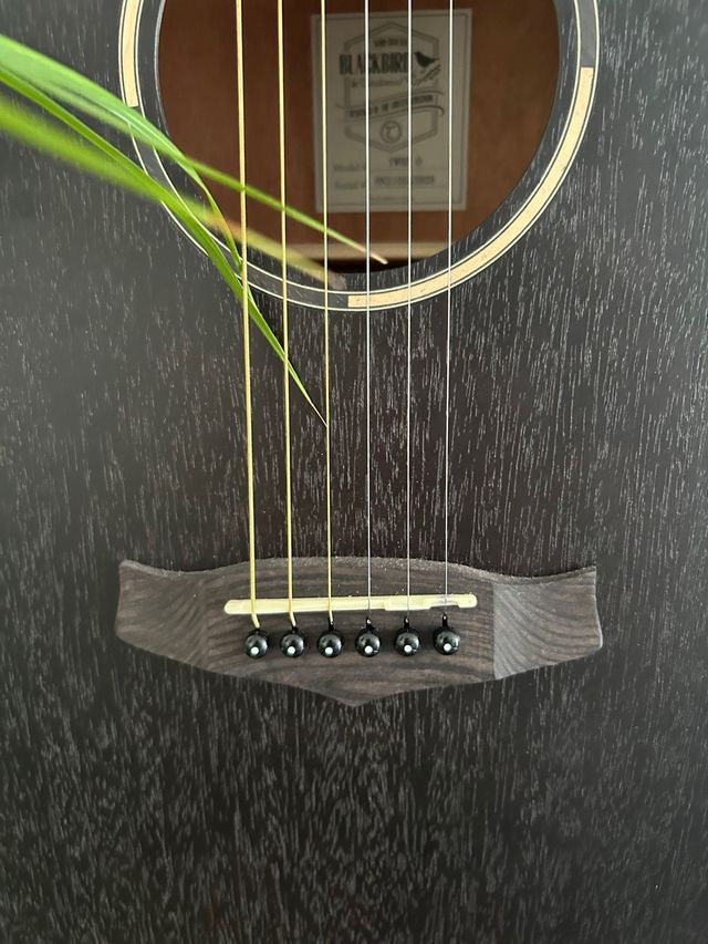 Nueva!!! Guitarra Tanglewood Blackbird TWBB 0