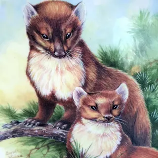 Piatto Wedgwood Woodland 2