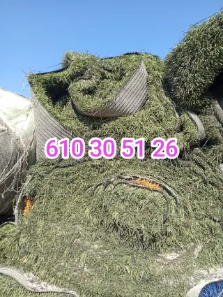 Césped artificial reciclado
