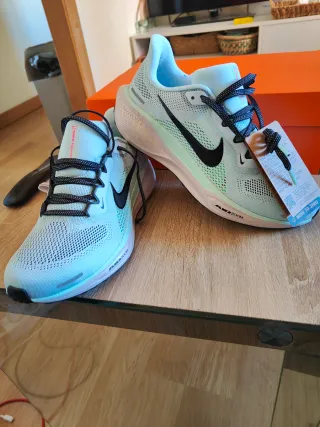 Nike Pegasus 41 (talla 40.5)
