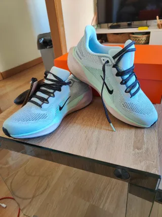 Nike Pegasus 41 (talla 40.5)