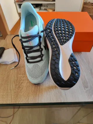 Nike Pegasus 41 (talla 40.5)