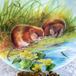 Piatto Wedgwood Woodland 3