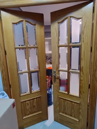 Lote de 6 puertas de madera con y sin cristal