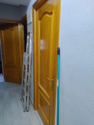 Lote de 6 puertas de madera con y sin cristal