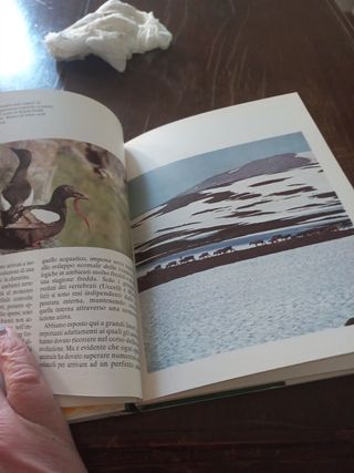 Il mondo degli animali