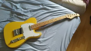 Guitarra Telecaster Warriors Guitars