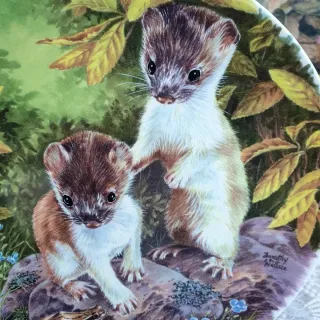 Piatto Wedgwood Woodland 4