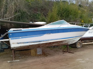 Lancha Sea Ray 6.50