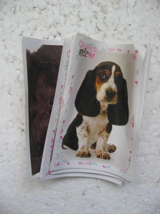 Cromos sueltos álbum Colección Puppies & Me Panini