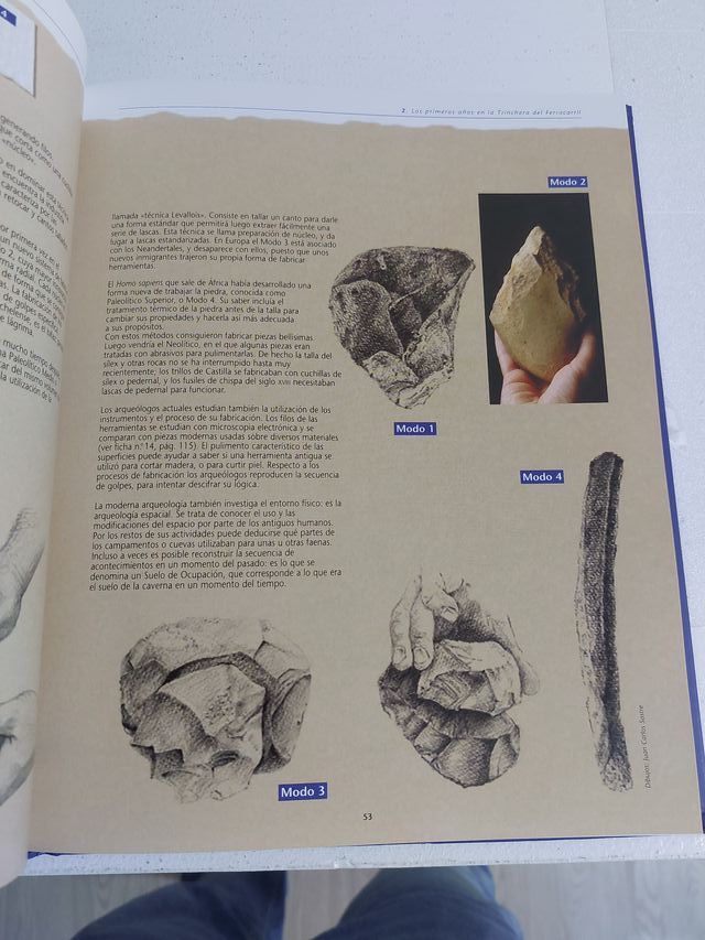 Libro Atapuerca: Un millón de años de historia