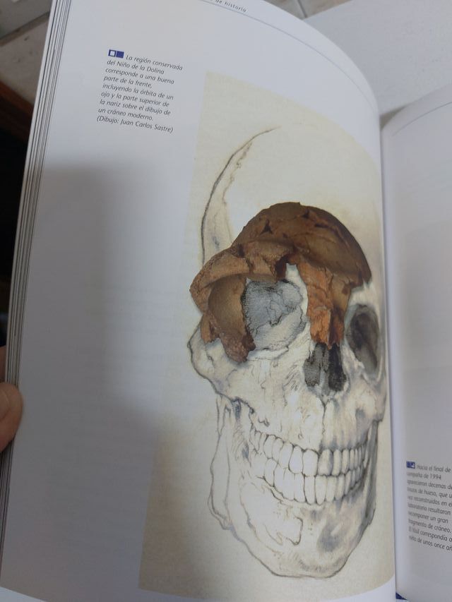 Libro Atapuerca: Un millón de años de historia