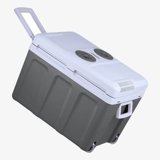 Arebos Nevera Termoeléctrica Portátil 40L 12/230v