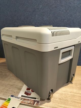 Arebos Nevera Termoeléctrica Portátil 40L 12/230v