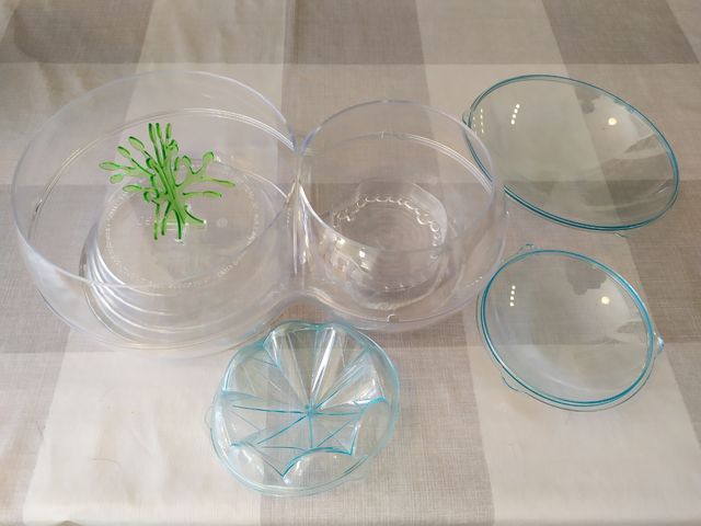 Cúpula Biosfera Clementoni